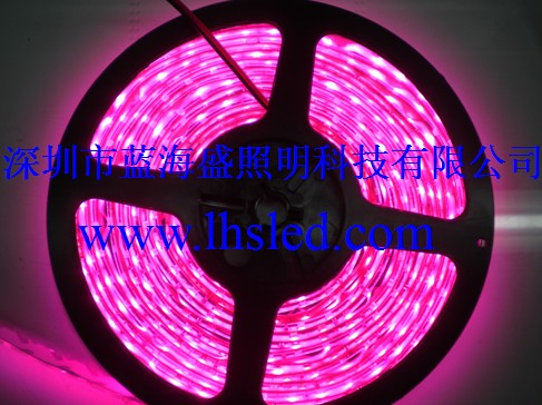 LED软光条